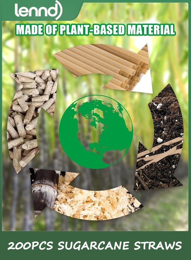 LENND Sugarcane Straws, 200PCS Drink Straws Disposable for Hot Cold Drinks, Coffee, Cocktail, Juice Home Favor, The Beach Party, Natural Brown - Image 2